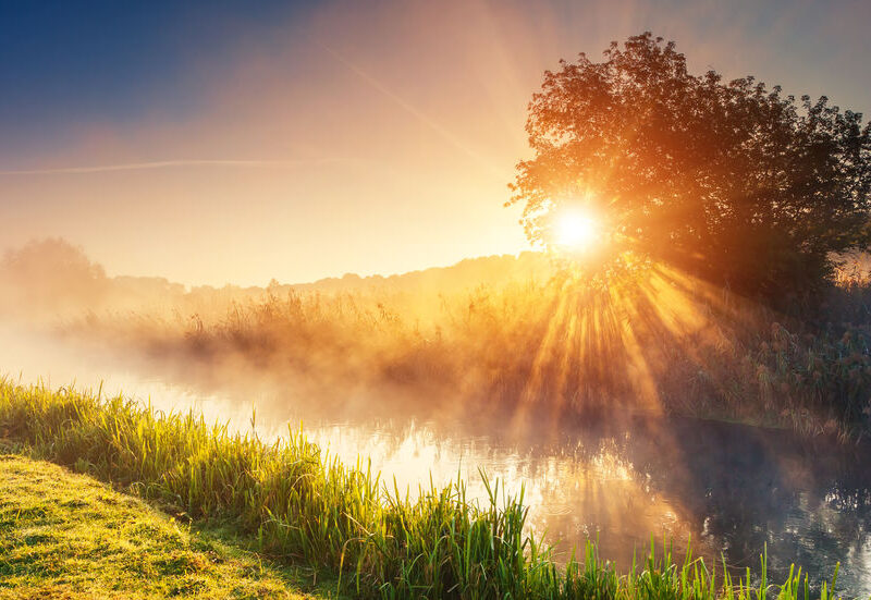 Fantastic foggy river with fresh green grass in the sunlight. Sun beams through tree. Dramatic colorful scenery. Seret river, Ternopil. Ukraine, Europe. Beauty world.